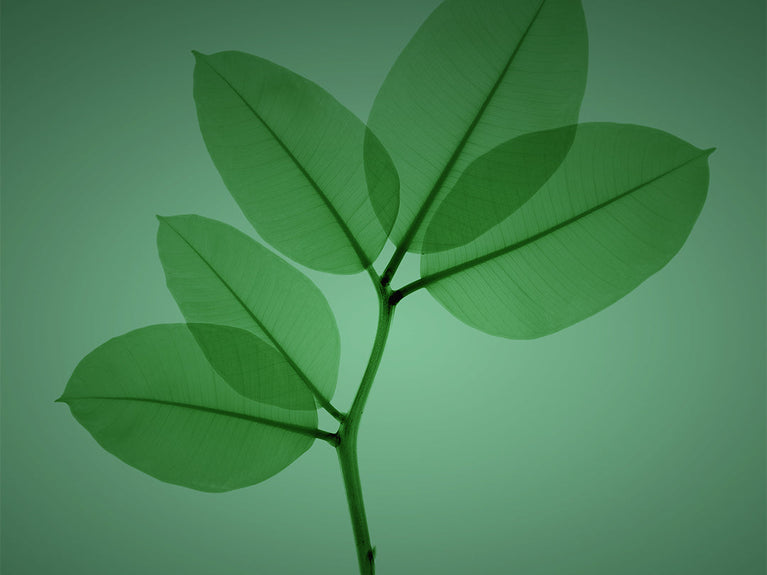 Q1インパクトレポート:フィランソロピー、サステナビリティ、エトス